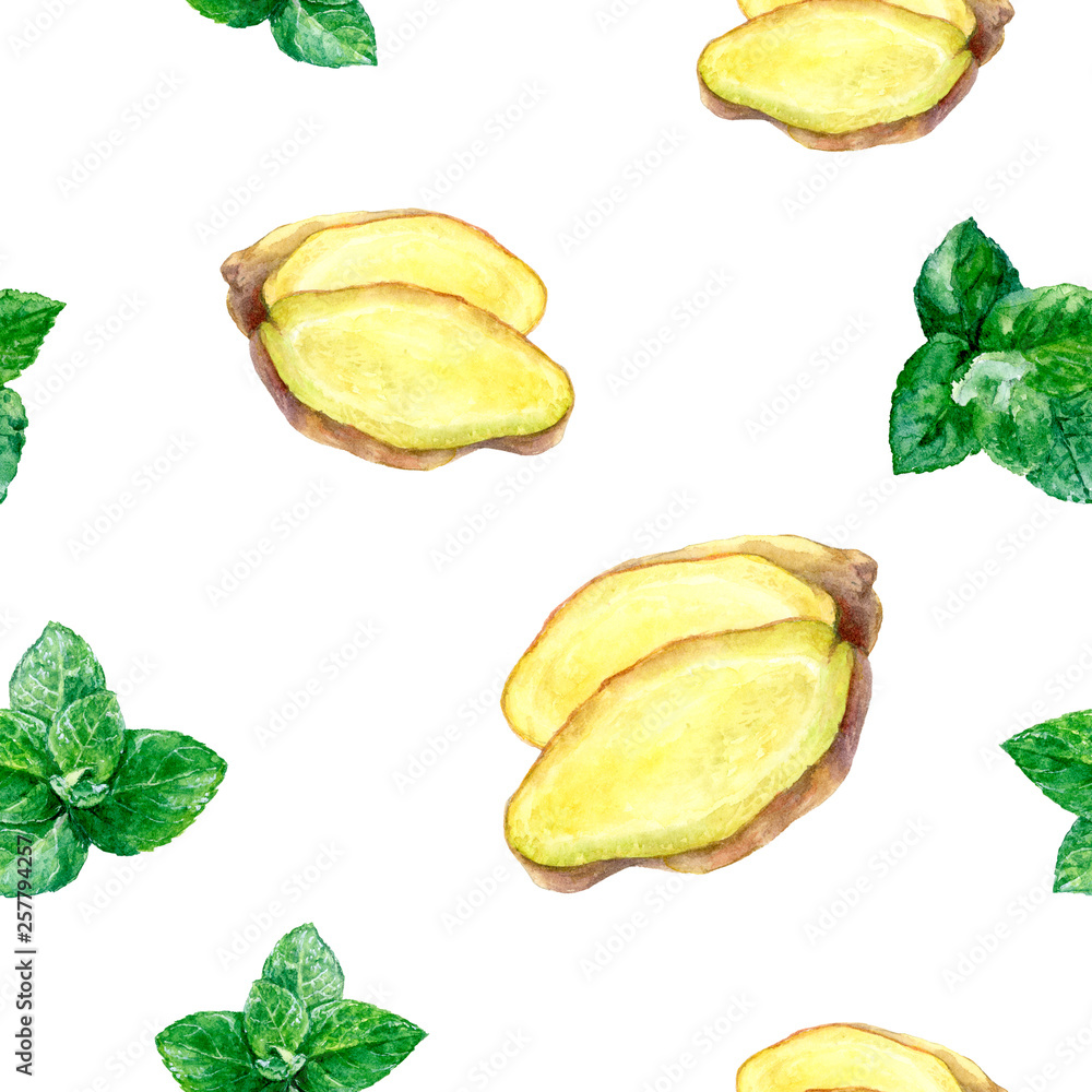 Naklejka premium Watercolor hand drawn ginger isolated seamless pattern.