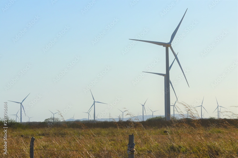 Renovable power wind