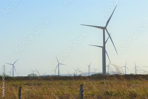 Renovable power wind