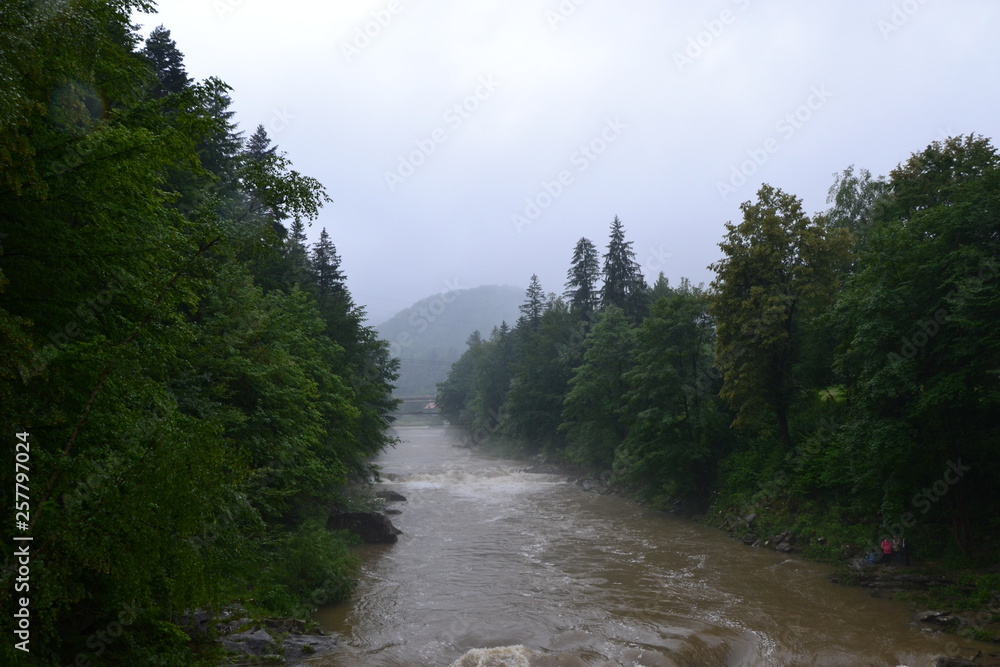 Obraz premium road in the forest