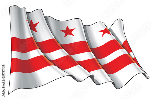 Waving Flag of Washington DC
