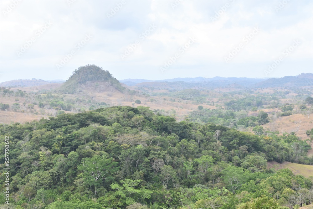 Mountain landscape