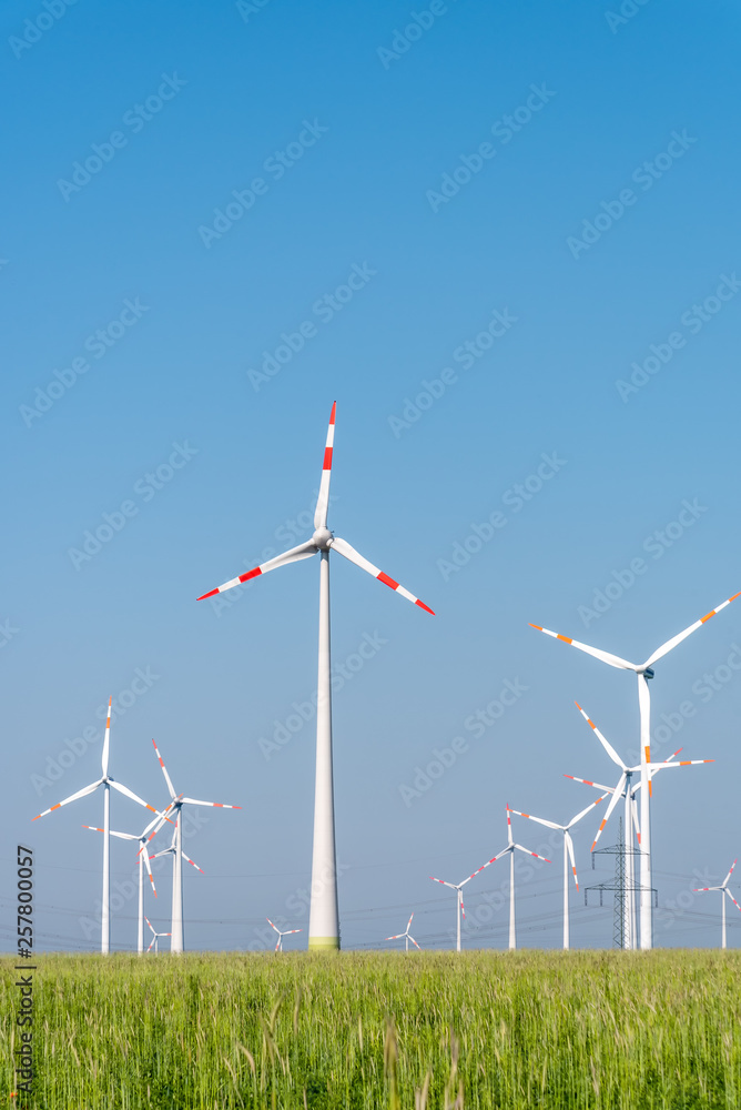 Wind turbines in a cornfield seen in Germany