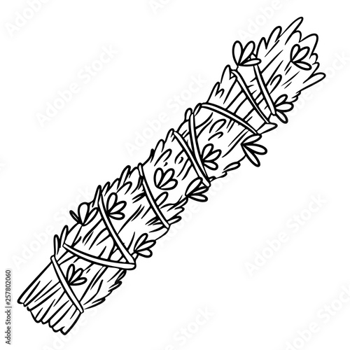 Sage smudge stick hand-drawn doodle isolated illustration. Lavender herb bundle