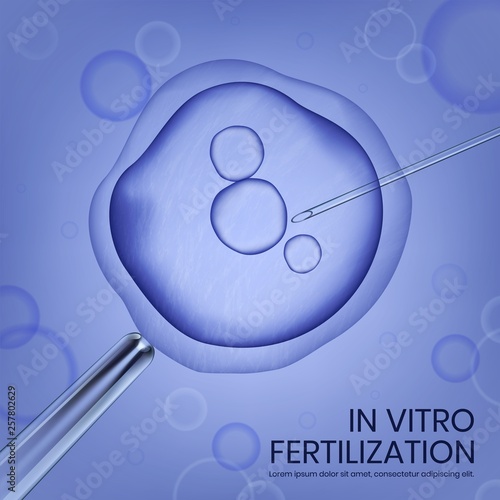 Microscope View of In Vitro Fertilization Process