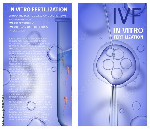 In Vitro Fertilization Vertical Banners Copy Space