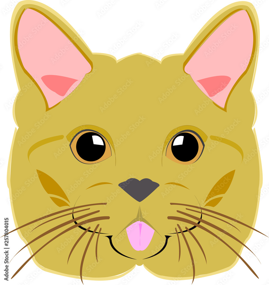 vector image of big cat vector image of big cat