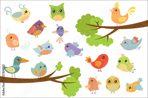 Cute bird characters set, cute colorful cartoon birds flying, singing, sitting on the branch vector Illustrations on a white background