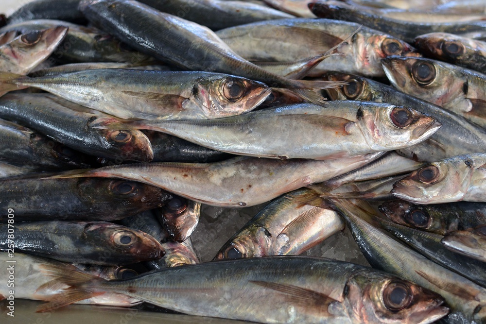 Fresh fish on the counter market in Funchal. Fresh fish on the counter market in Funchal.