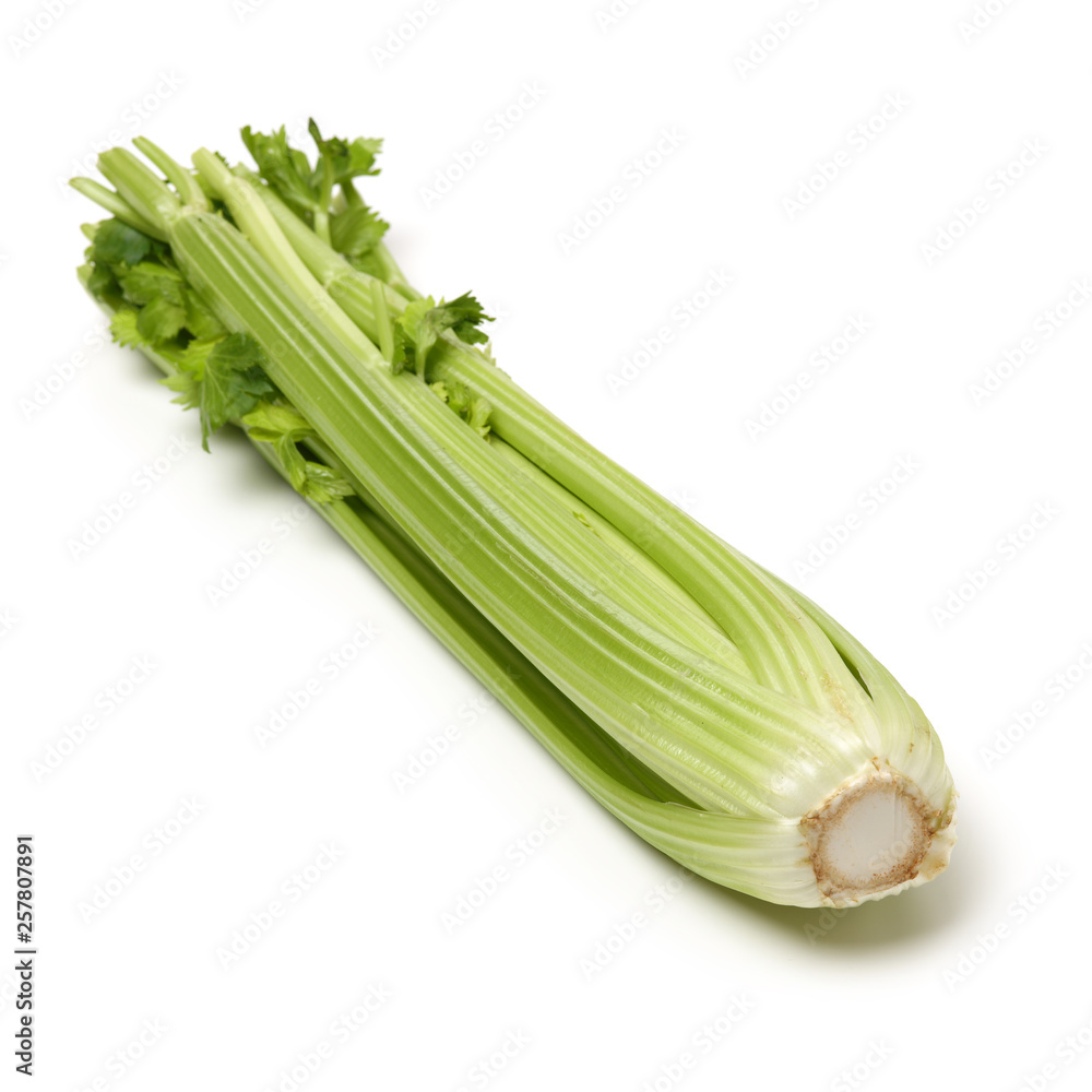 celery on a white background celery on a white background
