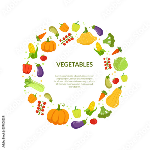 Round Frame of Different Fresh Vegetables Vector Illustration