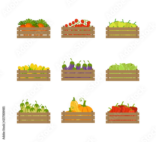 Wooden Crates with Farm Vegetables Set, Organic Food, Carrot, Tomato, Pepper, Corn, Eggplant, Farmers Market Design Element Vector Illustration
