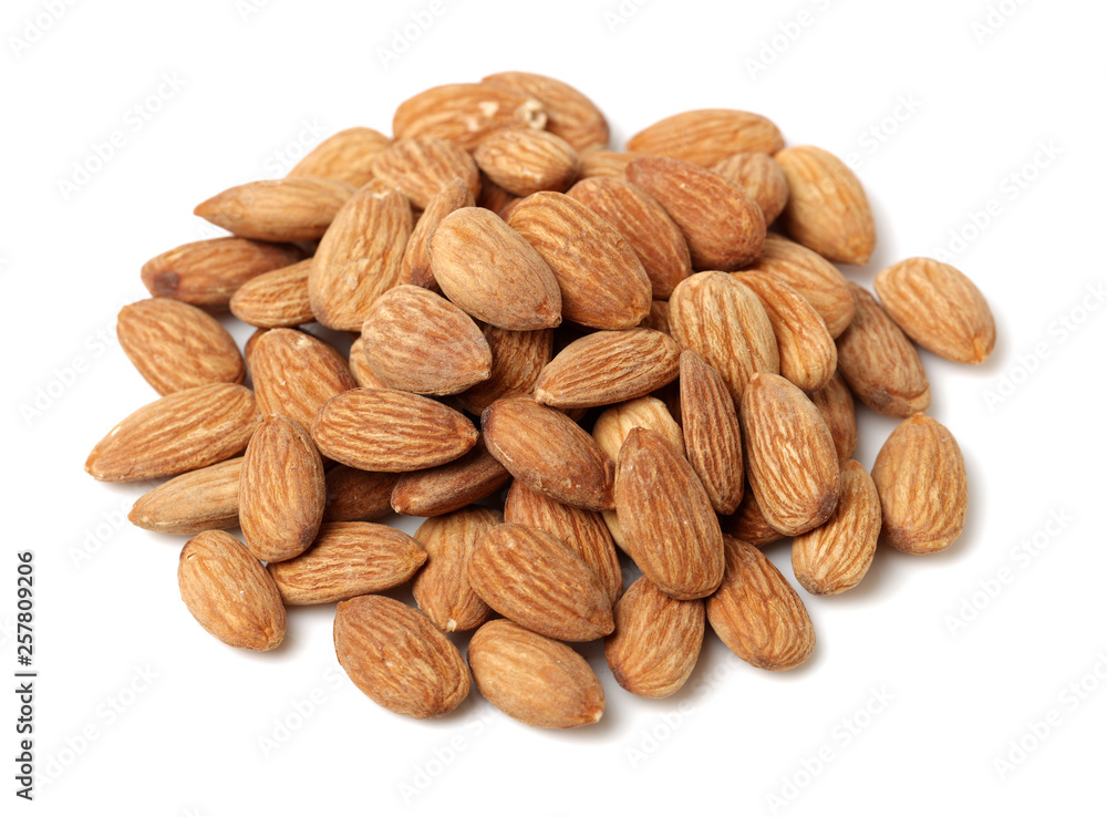 apricot kernel isolated on white background apricot kernel isolated on white background