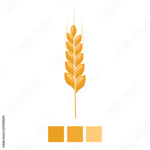 Wheat spike yellow isolated on white background. Organic Ear grain with flat and solid color design. Vector Illustration.