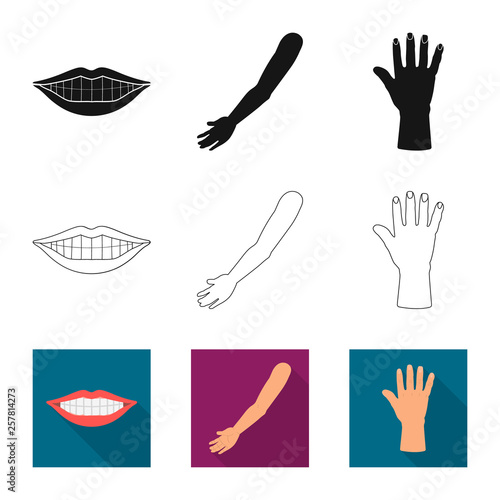 Vector illustration of body and part icon. Collection of body and anatomy stock symbol for web.