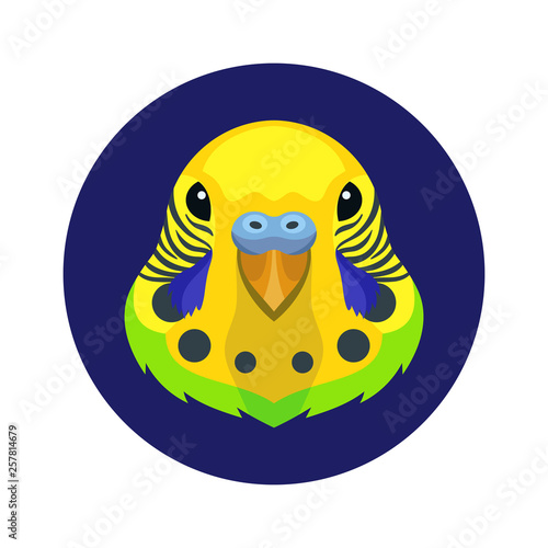Vector cute budgie parrot icon template for pet shop birds products