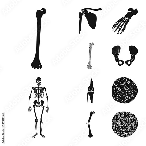 Isolated object of biology and medical icon. Collection of biology and skeleton stock symbol for web.