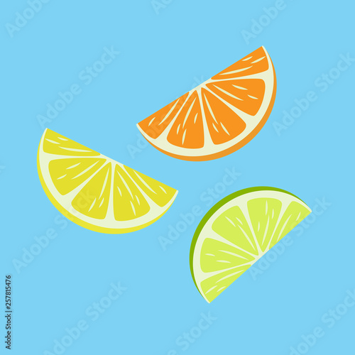  Lemon, lime and orange slices on a blue background, flat design, logo, icon