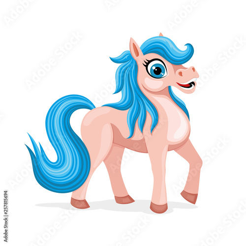 Beautiful cute pony on a white background.