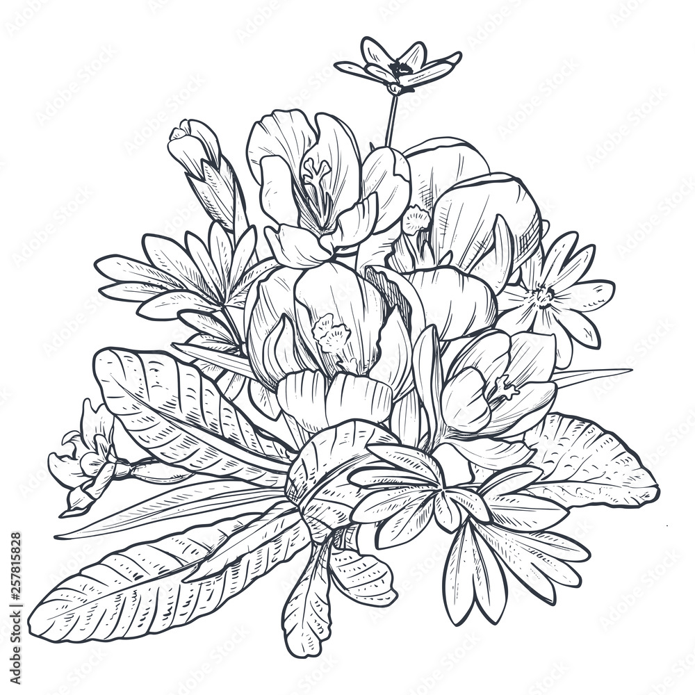 Plakat Hand drawn vector bouquet of spring flowers and leaves on white background