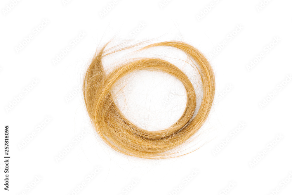 Cutted off blond hair on white background Cutted off blond hair on white background