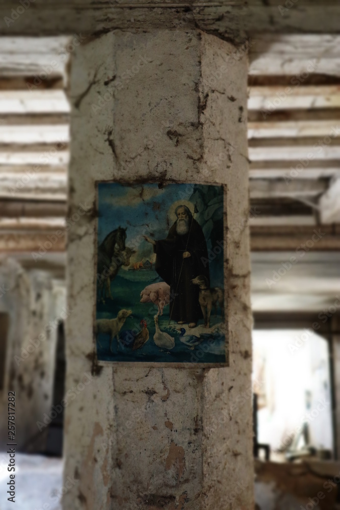 Fototapeta premium santi in stalla