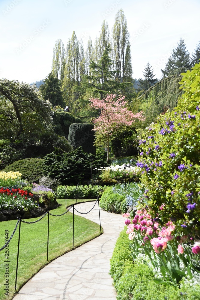 Obraz premium 華の庭園 ビクトリア Gardens Victoria