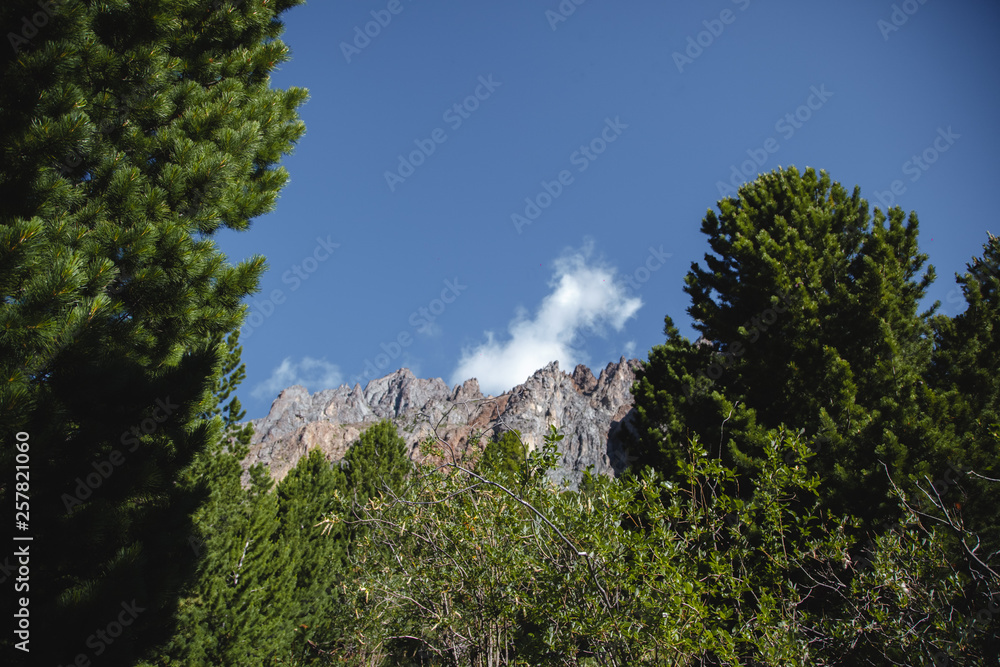 Picturesque Altai mountains in summer. Landscape with a blue sky over the mountain ranges and spruce forest in the Altai.