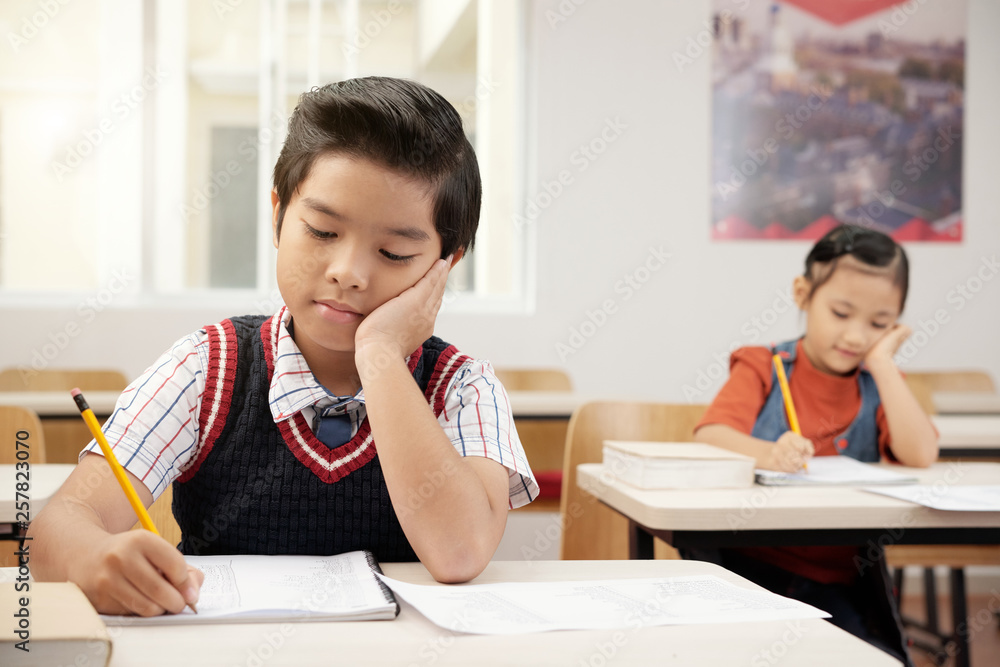 Schoolchildren studying at school Schoolchildren studying at school