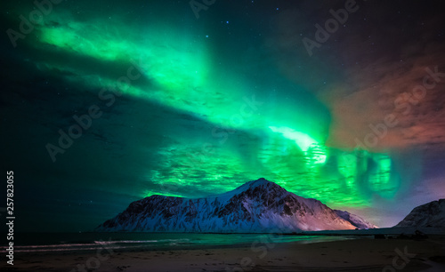 Aurora borealis (northern lights) over Skagsanden beach. Lofoten Islands, Norway © lkunl