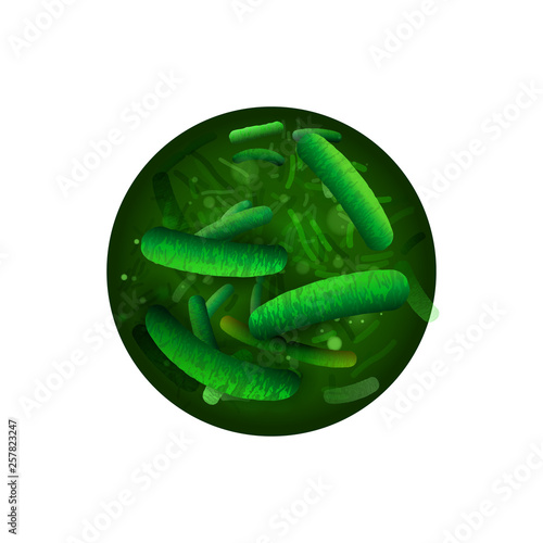 Probiotics and prebiotics