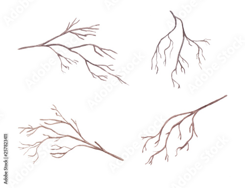 Set of watercolor branches