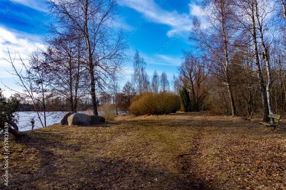 Footpath beside a lake through winter trees