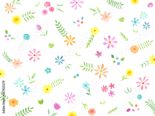 水彩の花と葉 背景 壁紙