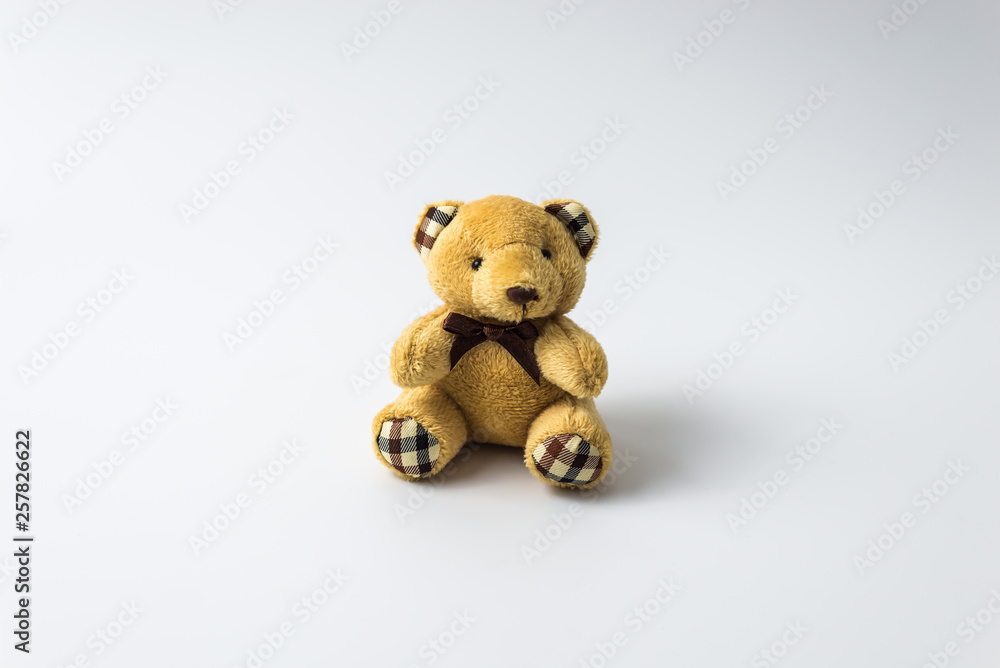 teddy toy bear isolated on white background teddy toy bear isolated on white background