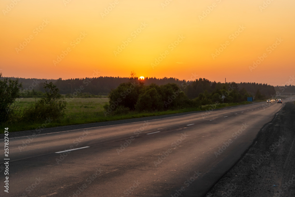 Cars on country asphalt road in forest at sunset