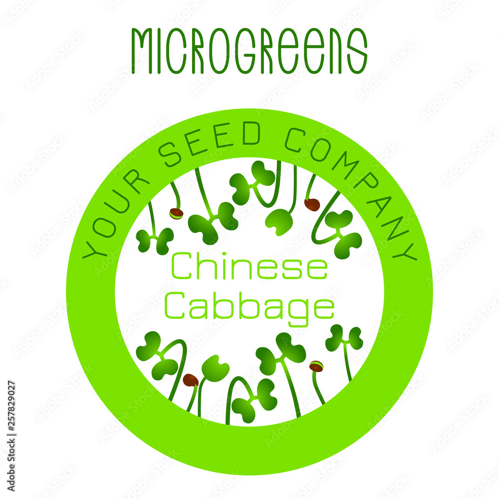 Microgreens Chinese Cabbage. Seed packaging design, round element