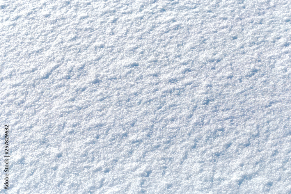 Winter, the surface of fresh fluffy snow, close-up Winter, the surface of fresh fluffy snow, close-up