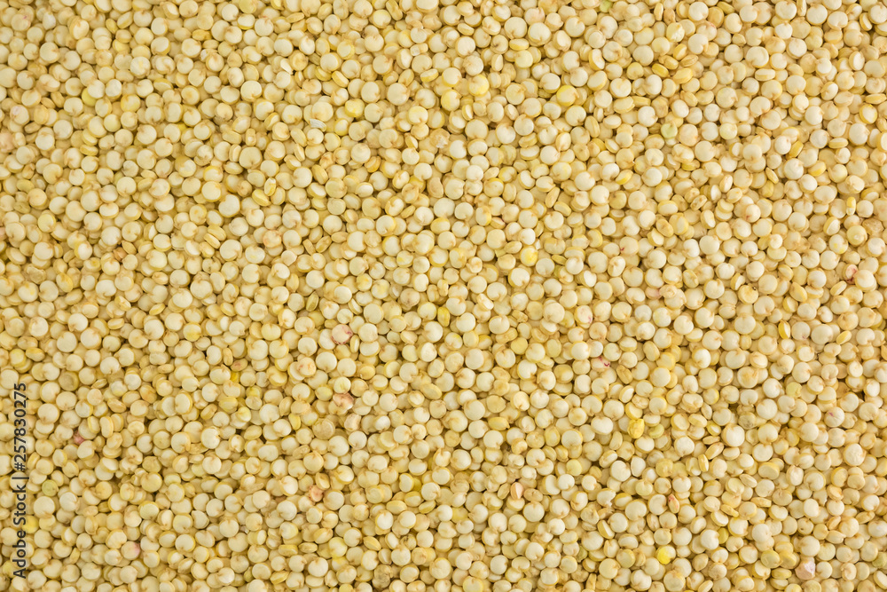 Close photo of Quinoa Seeds, background made of Quinoa seeds. Quinoa seeds from Bolivia and Peru Close photo of Quinoa Seeds, background made of Quinoa seeds. Quinoa seeds from Bolivia and Peru