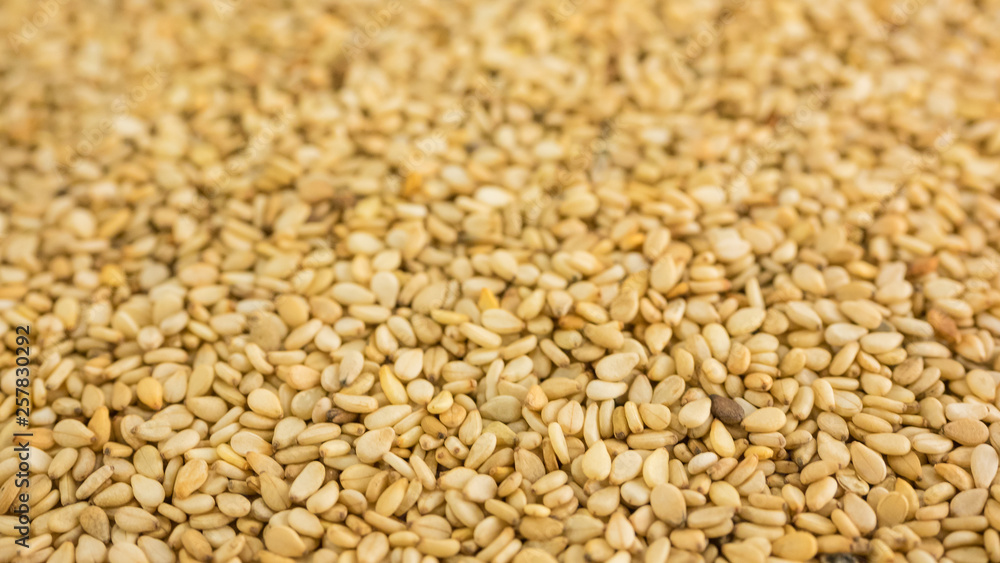 Close photo of Sesame seeds, background made of sesame seeds Close photo of Sesame seeds, background made of sesame seeds
