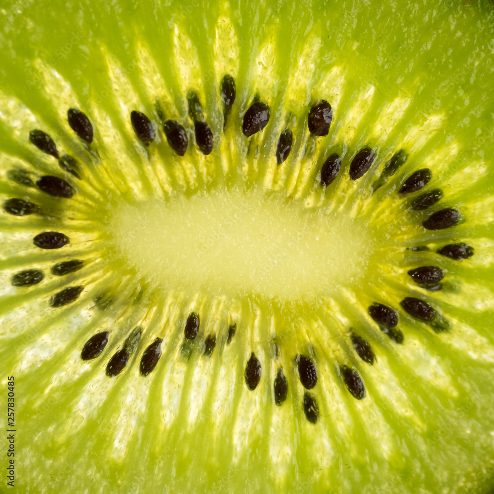 Slice of kiwi fruit with backlight, close-up photo of a kiwi, raw green fruit. Slice of kiwi fruit with backlight, close-up photo of a kiwi, raw green fruit.