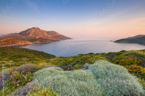 Spring flowers on Fourni island and view of Thymaina island early in the morning, Greece. 