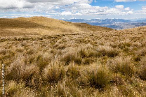 Golden wasteland in summer, all the straw turns yellow because of the drought