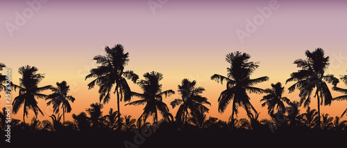 Realistic silhouette of tree tops  palm trees in tropical landscape  with morning orange-pink sky and with space for text  vector