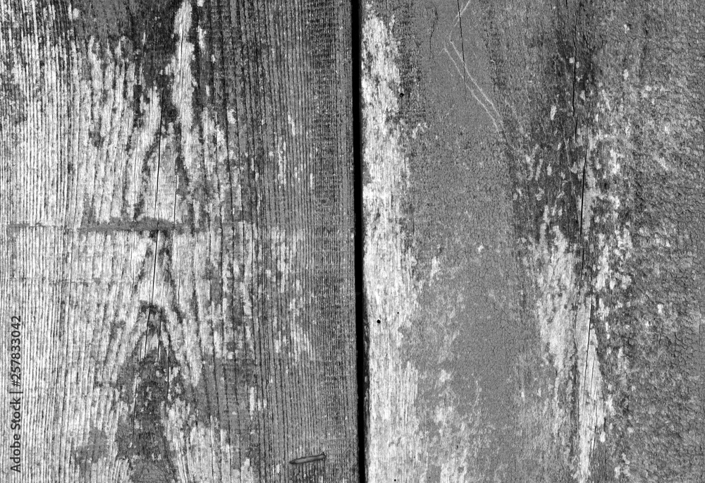 Obraz premium Old grungy wooden planks background in black and white.