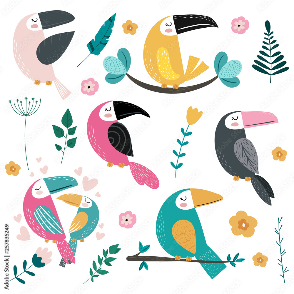 Fototapeta premium Set of different toucans and tropical leaves, flowers.Vector illustration.