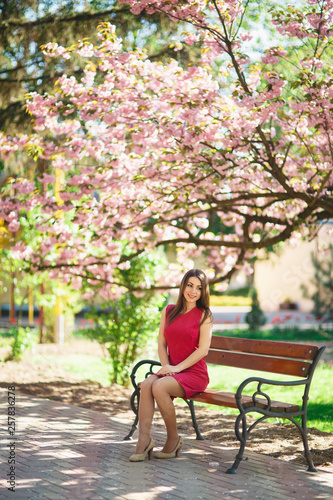 Young attractive girl sits on a bench. Background of blooming pink trees. Spring. Sakura japanese tree