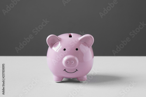 piggy or coin bank or piggybank or money box - finance and savings concept with copy space