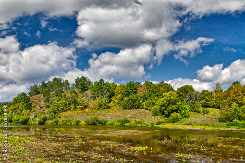 shallow river near summer forest shallow river near summer forest