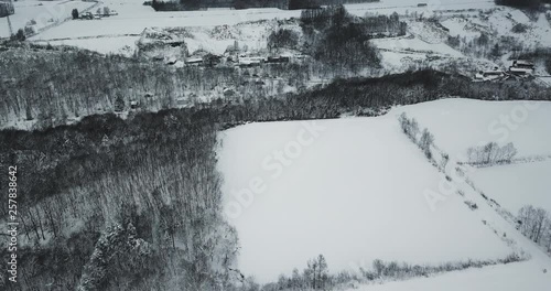 Aerial view of snow covered landscape with trees